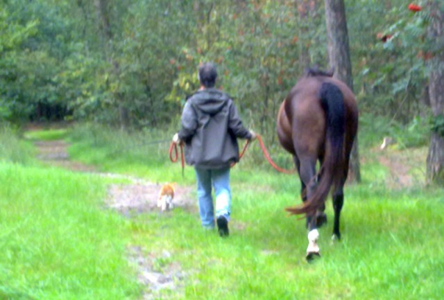 Rambo leading Andrew and Anaïs back to the stables