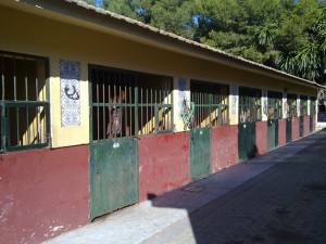 Prison block X in a Spanish livery stable
