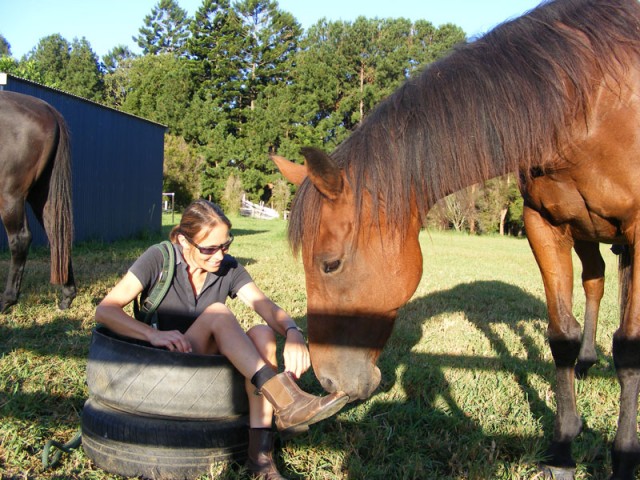 Vicki seeking a connection with Gulliver via the feed trough