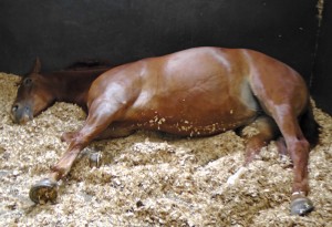 Nymph lying down well before her treatment