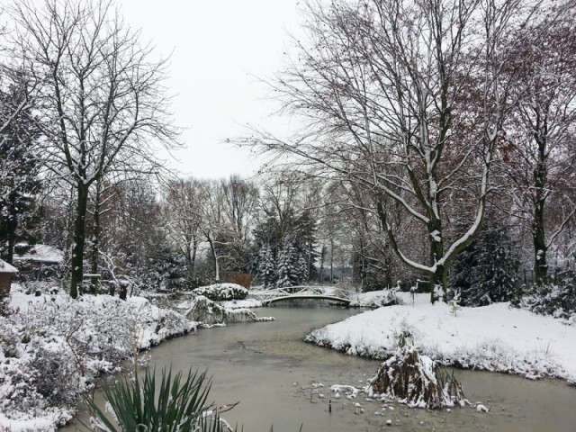 The pond ice-bound and snow-lined, calm and serene