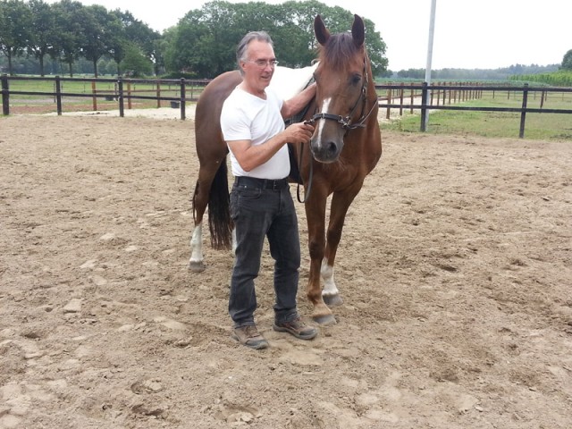 Pip teaching me how to be nice to horses