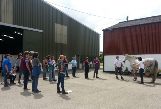 The Equine Touch Level 4 Course with students from around Europe