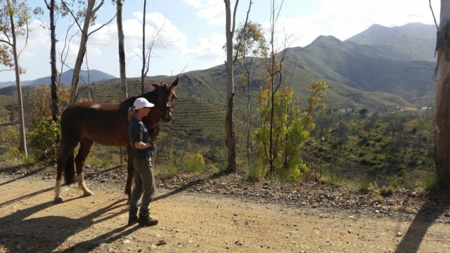 Pip and Vicki during our first walk with the mares in the valleyin which Equinatural is located