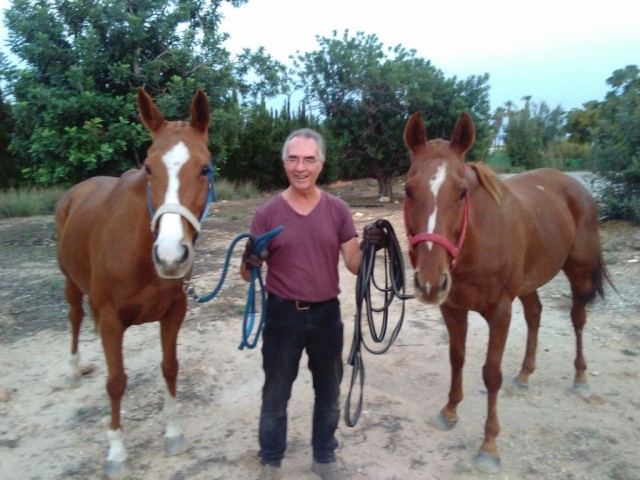 Lucky Andrew, graced with the presence of two special polo horses